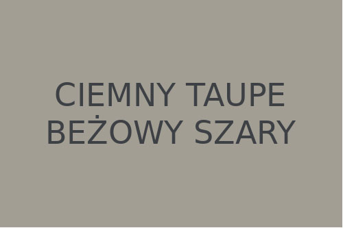 Ciemny taupe i beżowy szary #A39E93