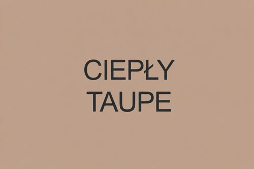 Kolor ciepły taupe