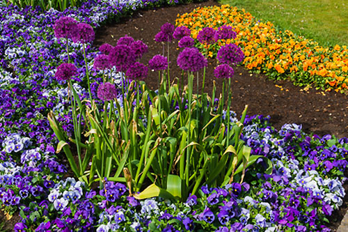 Jak dobierać kolory?