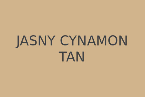 Jasny cynamon i kolor tan #D2B48C