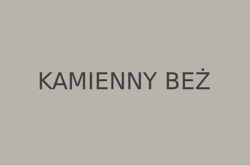 Kamienny beż #B7B3A9