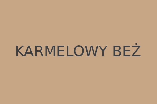 Karmelowy beż #C6A684