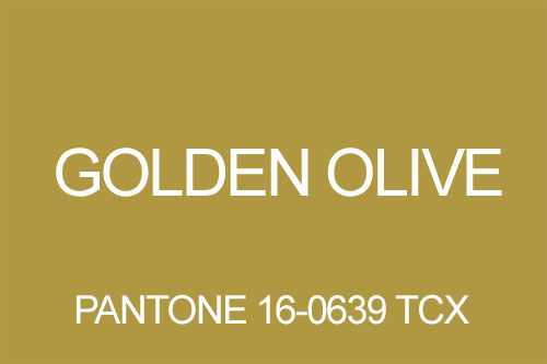 Kolor oliwkowy golden
