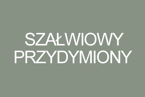 Kolor szałwiowy przydymiony