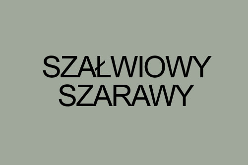 Kolor szałwiowy szarawy