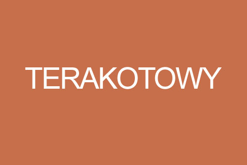Kolor terakotowy