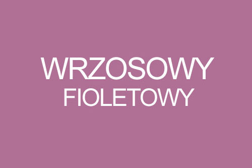 Kolor wrzosowy fioletowy