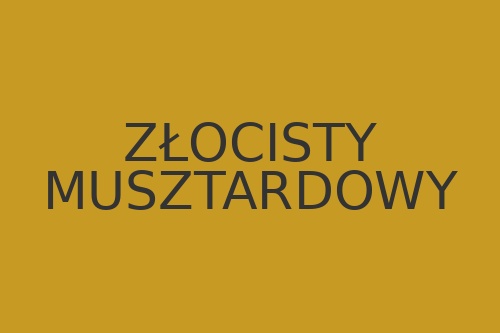 Kolor złocisty musztardowy