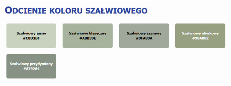 Odcienie koloru szałwiowego