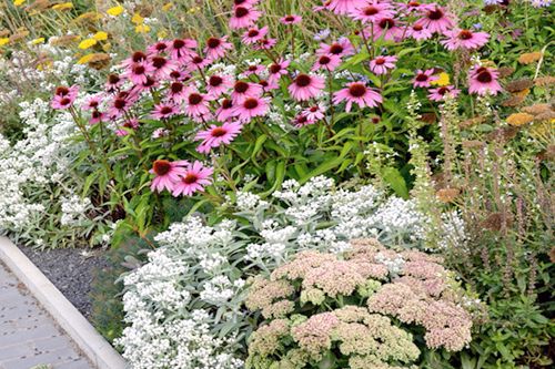 Rabata kwiatowa wieloletnia