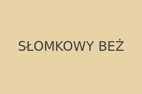 Słomkowy beż #E8D3A7
