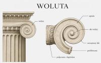 Woluta